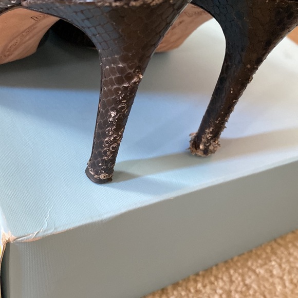 ANTONIO MELANI - SNAKE SKIN PRINT - Picture 3 of 6